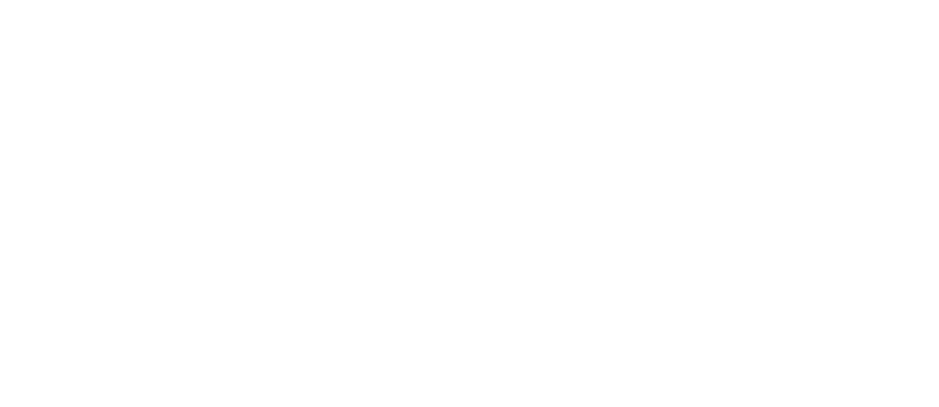 Partner organisation