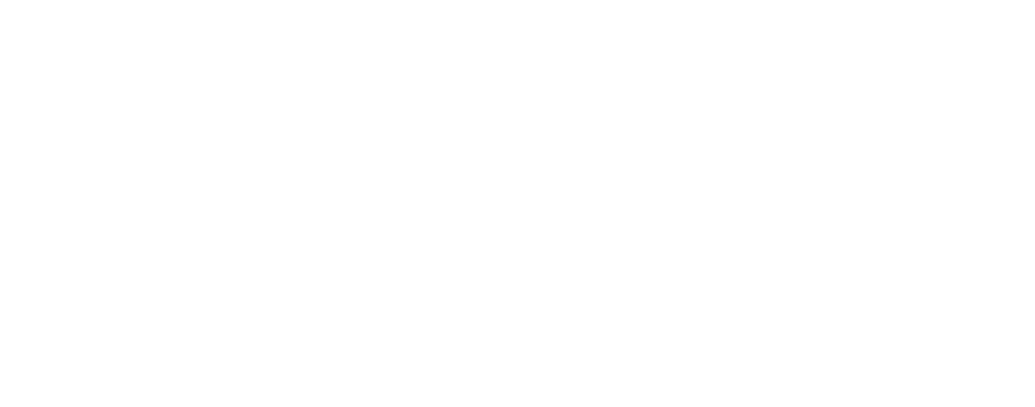 Partner organisation
